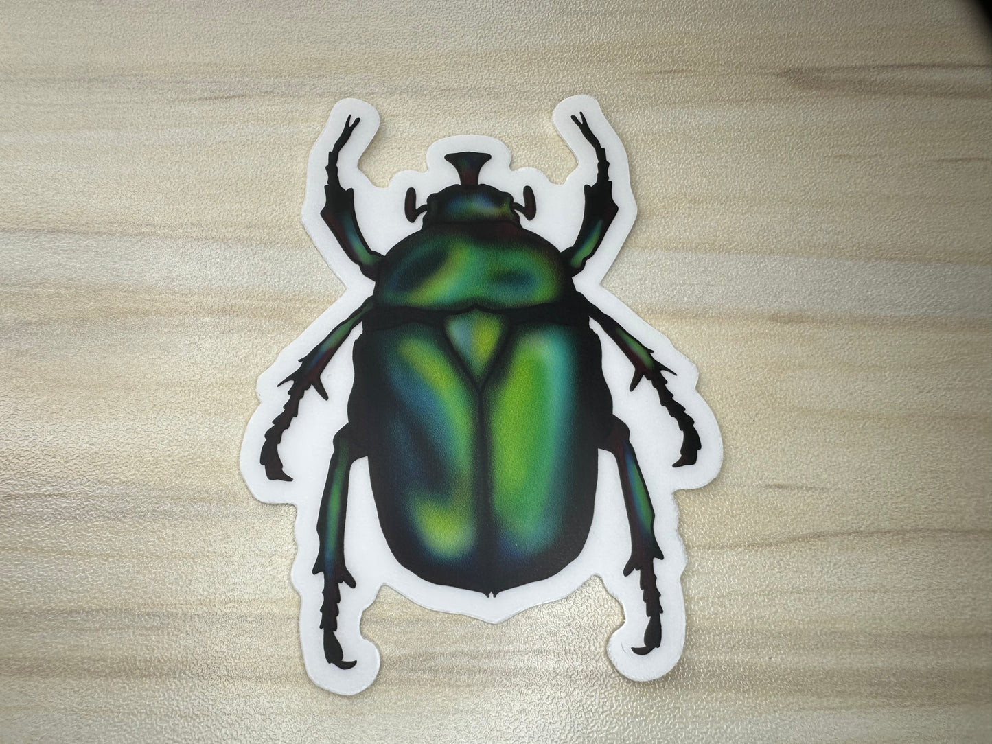 June Bug Vinyl Sticker, Green Chafer Beetle Decal, Entomology Insect Sticker
