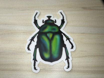 June Bug Vinyl Sticker, Green Chafer Beetle Decal, Entomology Insect Sticker