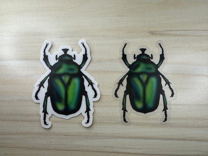 June Bug Vinyl Sticker, Green Chafer Beetle Decal, Entomology Insect Sticker