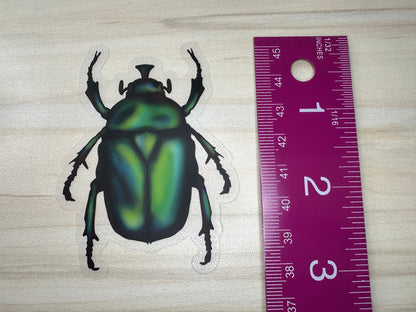 June Bug Vinyl Sticker, Green Chafer Beetle Decal, Entomology Insect Sticker