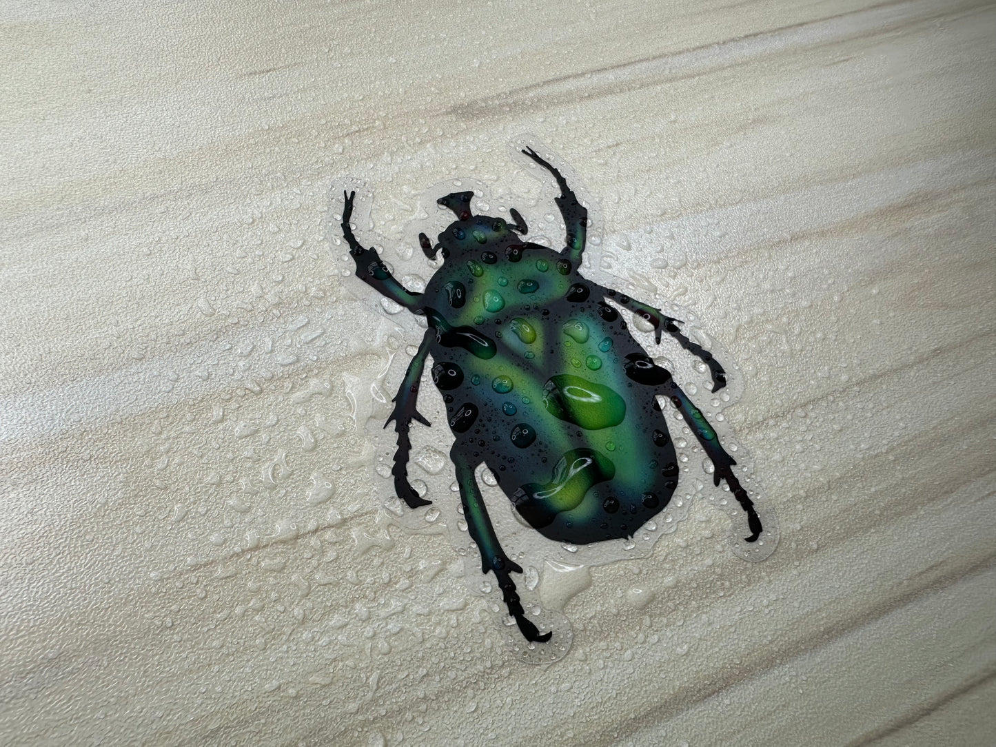 June Bug Vinyl Sticker, Green Chafer Beetle Decal, Entomology Insect Sticker