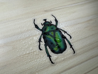 June Bug Vinyl Sticker, Green Chafer Beetle Decal, Entomology Insect Sticker