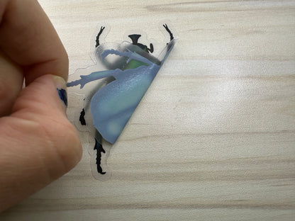 June Bug Vinyl Sticker, Green Chafer Beetle Decal, Entomology Insect Sticker