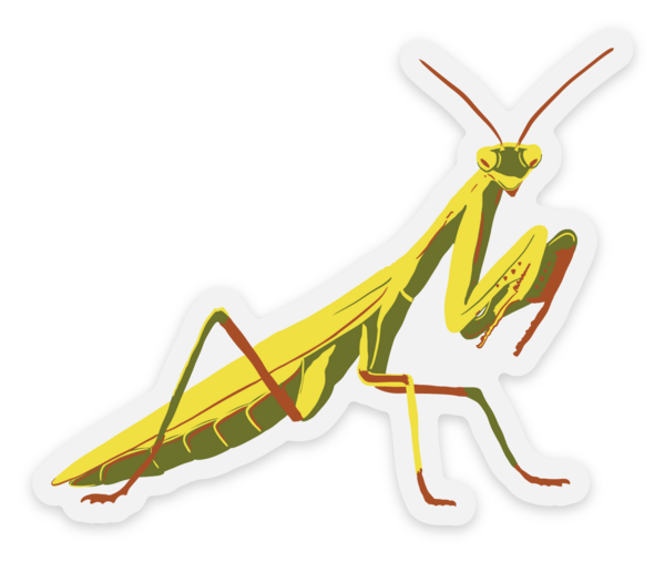 Praying Mantis Vinyl Sticker, Yellow and Green Insect, Entomology Vinyl Decal