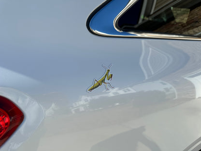 Praying Mantis Magnet, Entomology Magnet, Insect Magnet, Bug Magnet, Praying Mantis Art, Refrigerator Magnet, Car Magnet