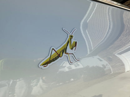 Praying Mantis Magnet, Entomology Magnet, Insect Magnet, Bug Magnet, Praying Mantis Art, Refrigerator Magnet, Car Magnet