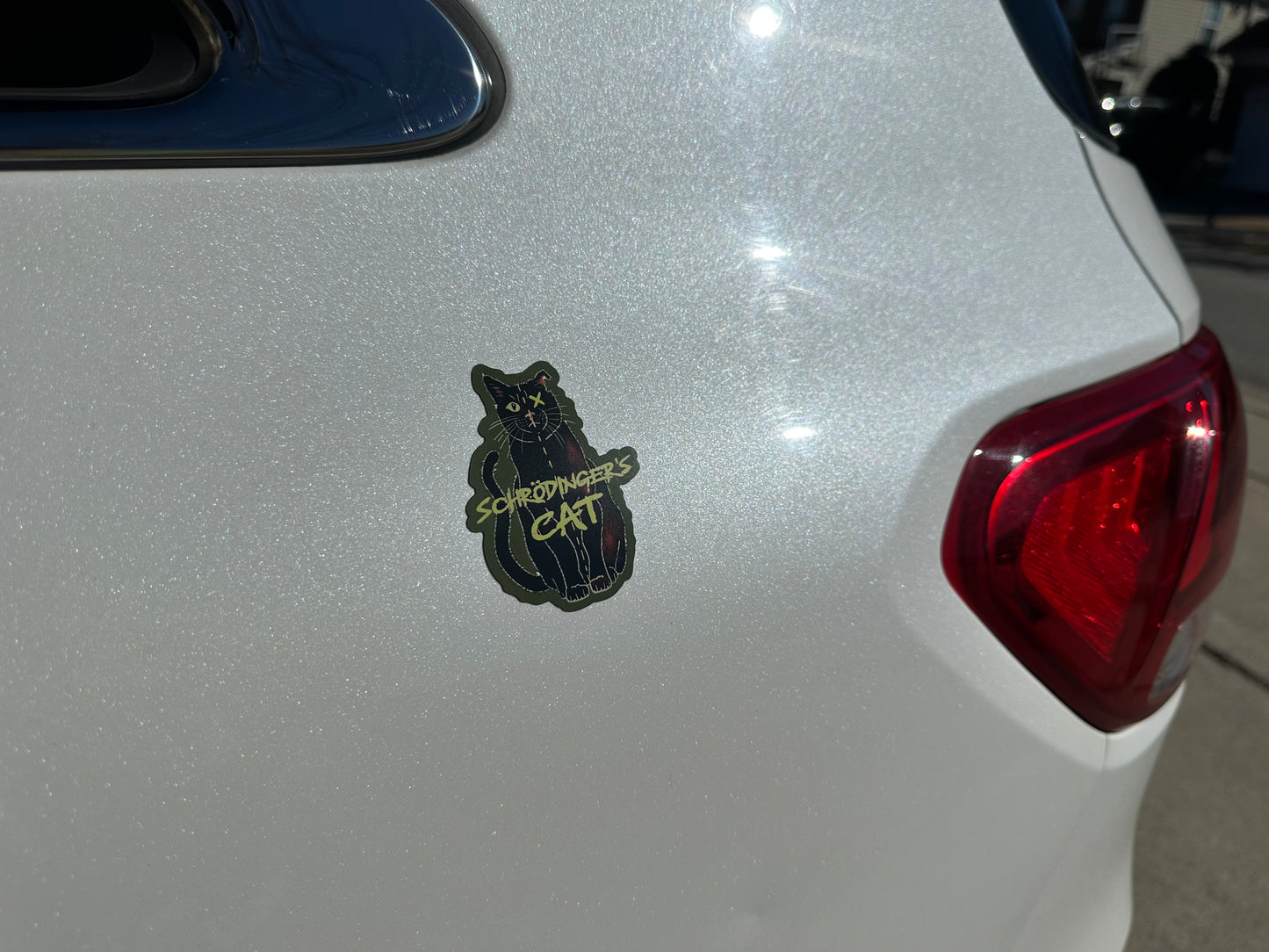 Schrodinger's Cat Magnet, Physics Gift, Quantum Mechanics, Science Joke, Funny Physics Gift, Science Magnet, Fridge Magnet, Car Magnet