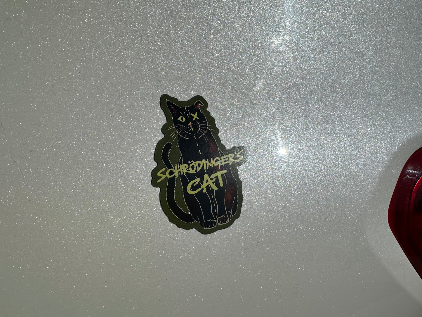 Schrodinger's Cat Magnet, Physics Gift, Quantum Mechanics, Science Joke, Funny Physics Gift, Science Magnet, Fridge Magnet, Car Magnet