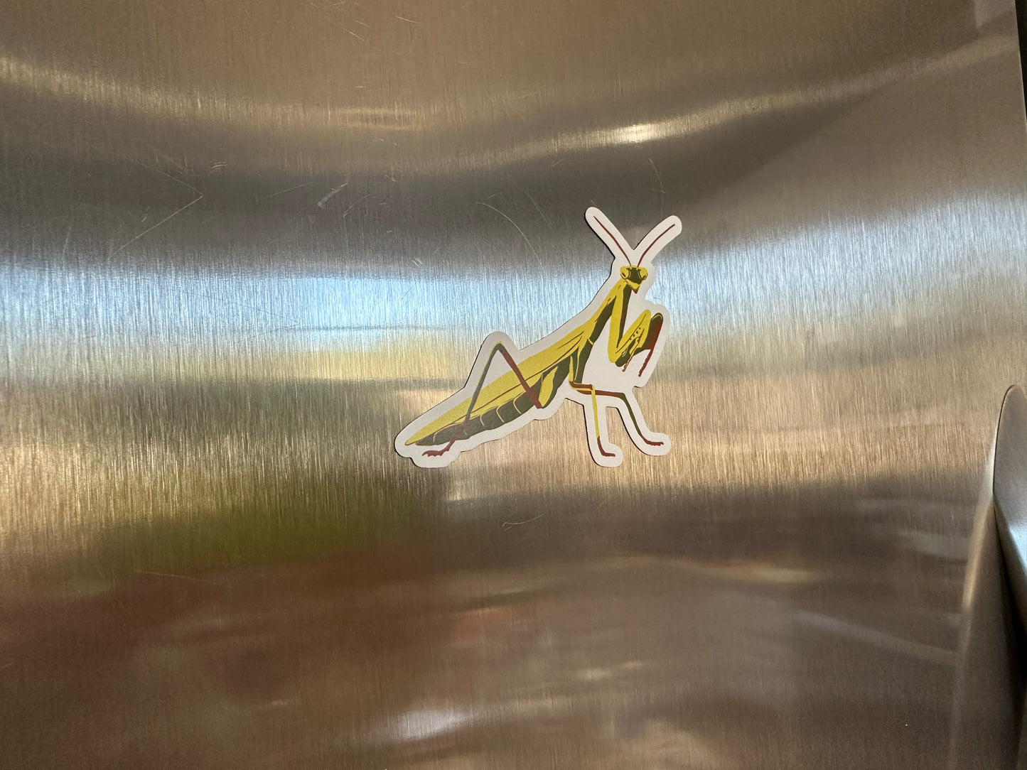 Praying Mantis Magnet, Entomology Magnet, Insect Magnet, Bug Magnet, Praying Mantis Art, Refrigerator Magnet, Car Magnet