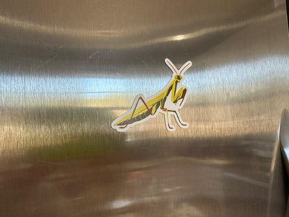 Praying Mantis Magnet, Entomology Magnet, Insect Magnet, Bug Magnet, Praying Mantis Art, Refrigerator Magnet, Car Magnet