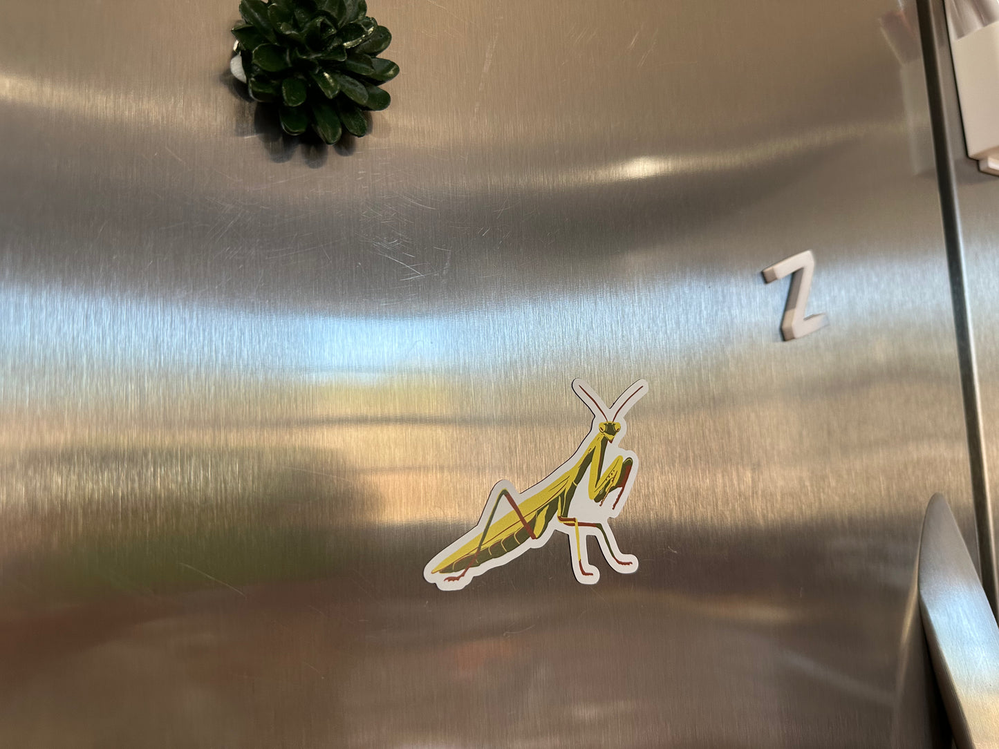 Praying Mantis Magnet, Entomology Magnet, Insect Magnet, Bug Magnet, Praying Mantis Art, Refrigerator Magnet, Car Magnet