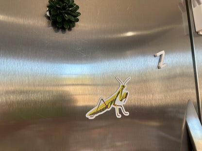 Praying Mantis Magnet, Entomology Magnet, Insect Magnet, Bug Magnet, Praying Mantis Art, Refrigerator Magnet, Car Magnet