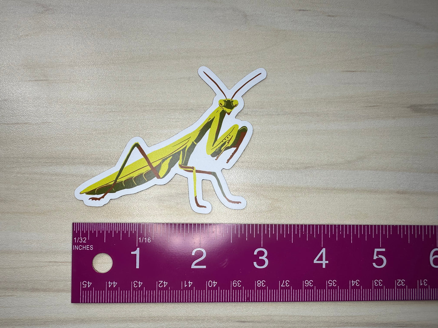 Praying Mantis Magnet, Entomology Magnet, Insect Magnet, Bug Magnet, Praying Mantis Art, Refrigerator Magnet, Car Magnet