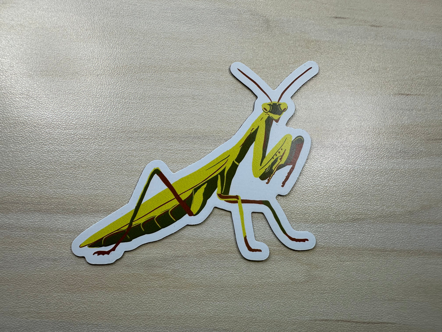 Praying Mantis Magnet, Entomology Magnet, Insect Magnet, Bug Magnet, Praying Mantis Art, Refrigerator Magnet, Car Magnet