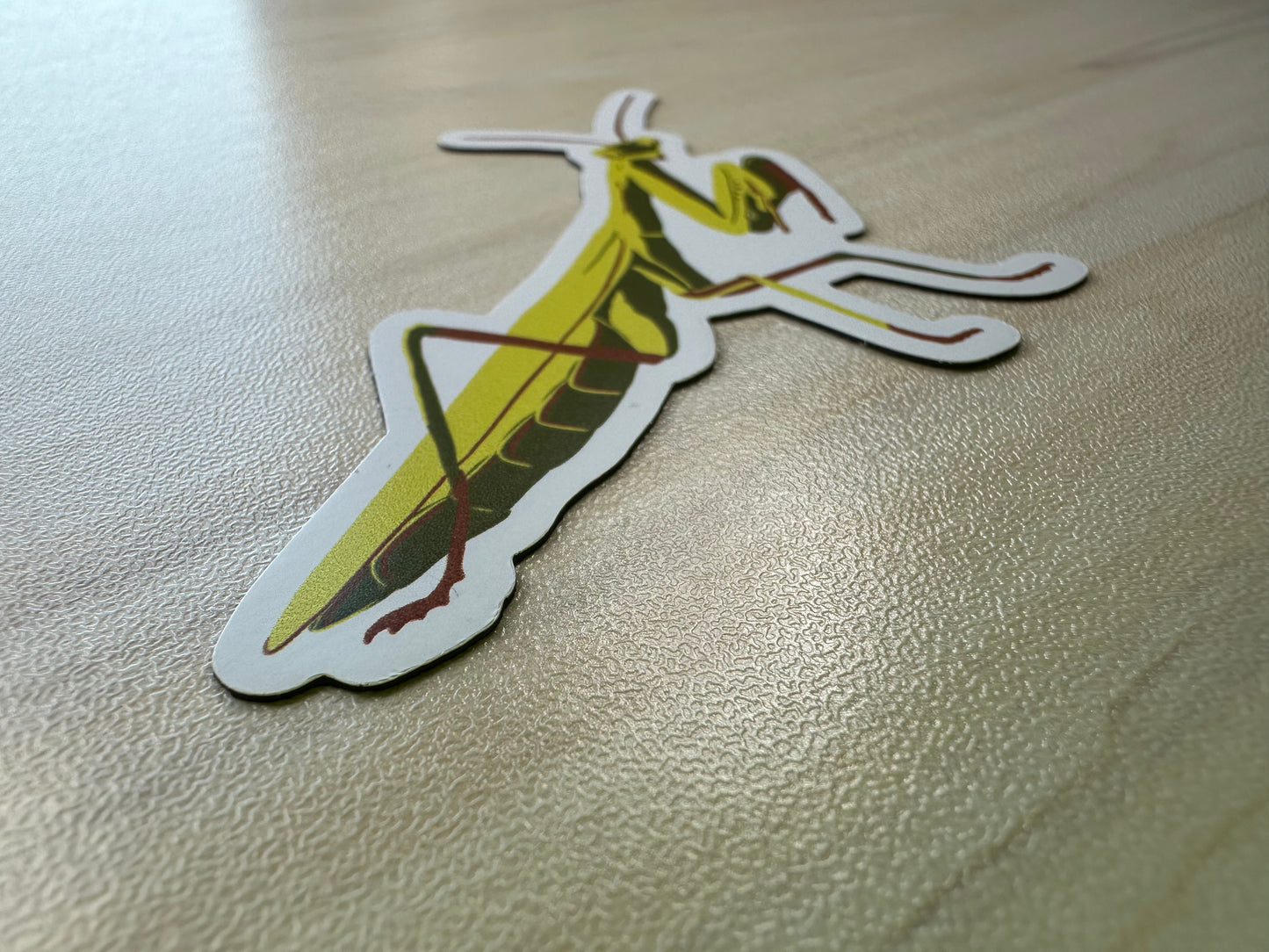 Praying Mantis Magnet, Entomology Magnet, Insect Magnet, Bug Magnet, Praying Mantis Art, Refrigerator Magnet, Car Magnet