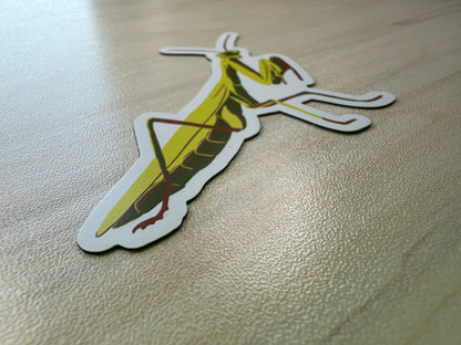 Praying Mantis Magnet, Entomology Magnet, Insect Magnet, Bug Magnet, Praying Mantis Art, Refrigerator Magnet, Car Magnet