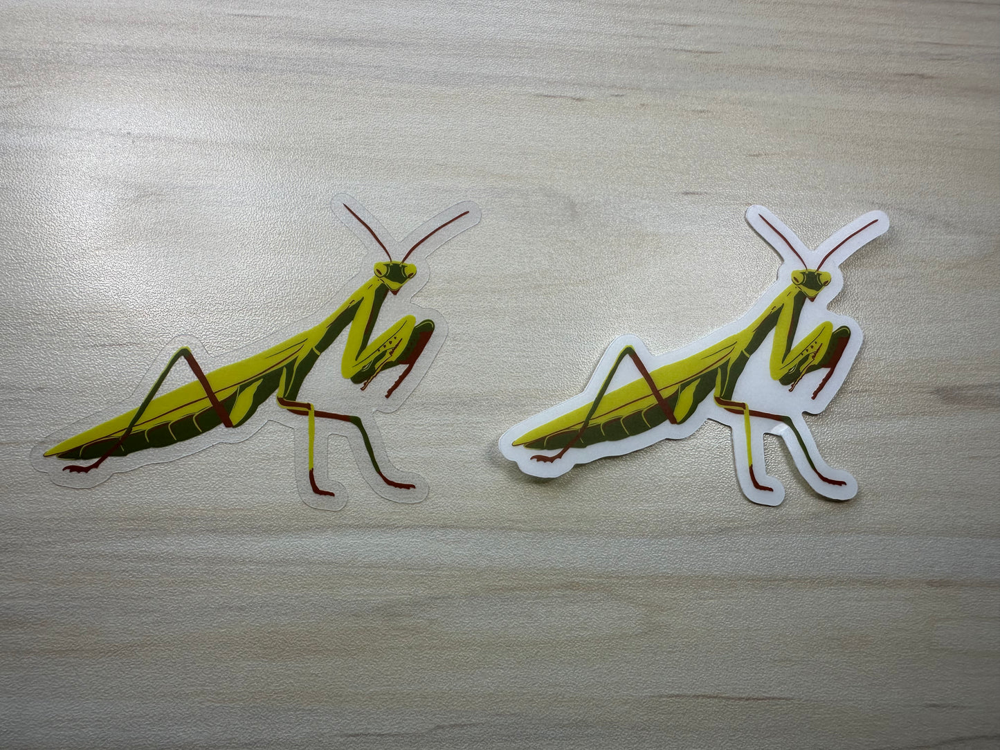 Praying Mantis Vinyl Sticker, Yellow and Green Insect, Entomology Vinyl Decal