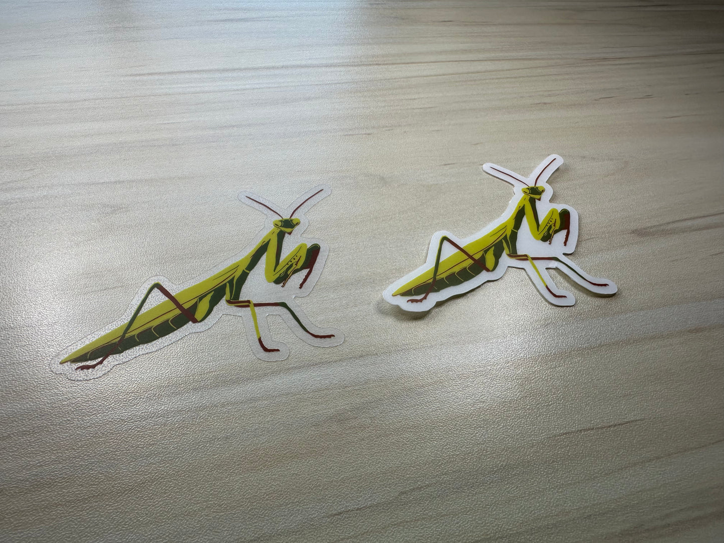 Praying Mantis Vinyl Sticker, Yellow and Green Insect, Entomology Vinyl Decal