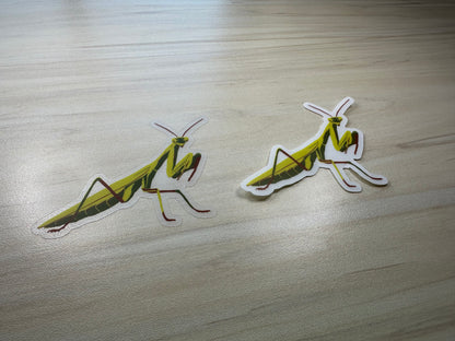 Praying Mantis Vinyl Sticker, Yellow and Green Insect, Entomology Vinyl Decal