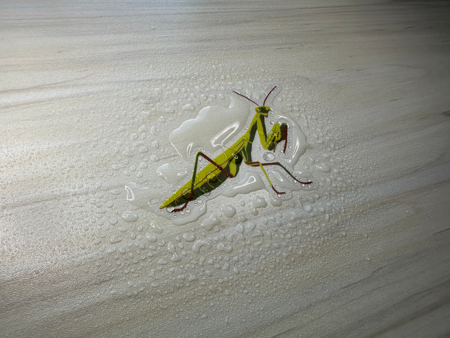 Praying Mantis Vinyl Sticker, Yellow and Green Insect, Entomology Vinyl Decal