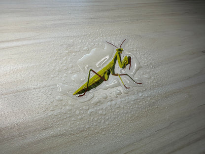 Praying Mantis Vinyl Sticker, Yellow and Green Insect, Entomology Vinyl Decal