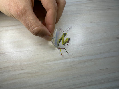 Praying Mantis Vinyl Sticker, Yellow and Green Insect, Entomology Vinyl Decal