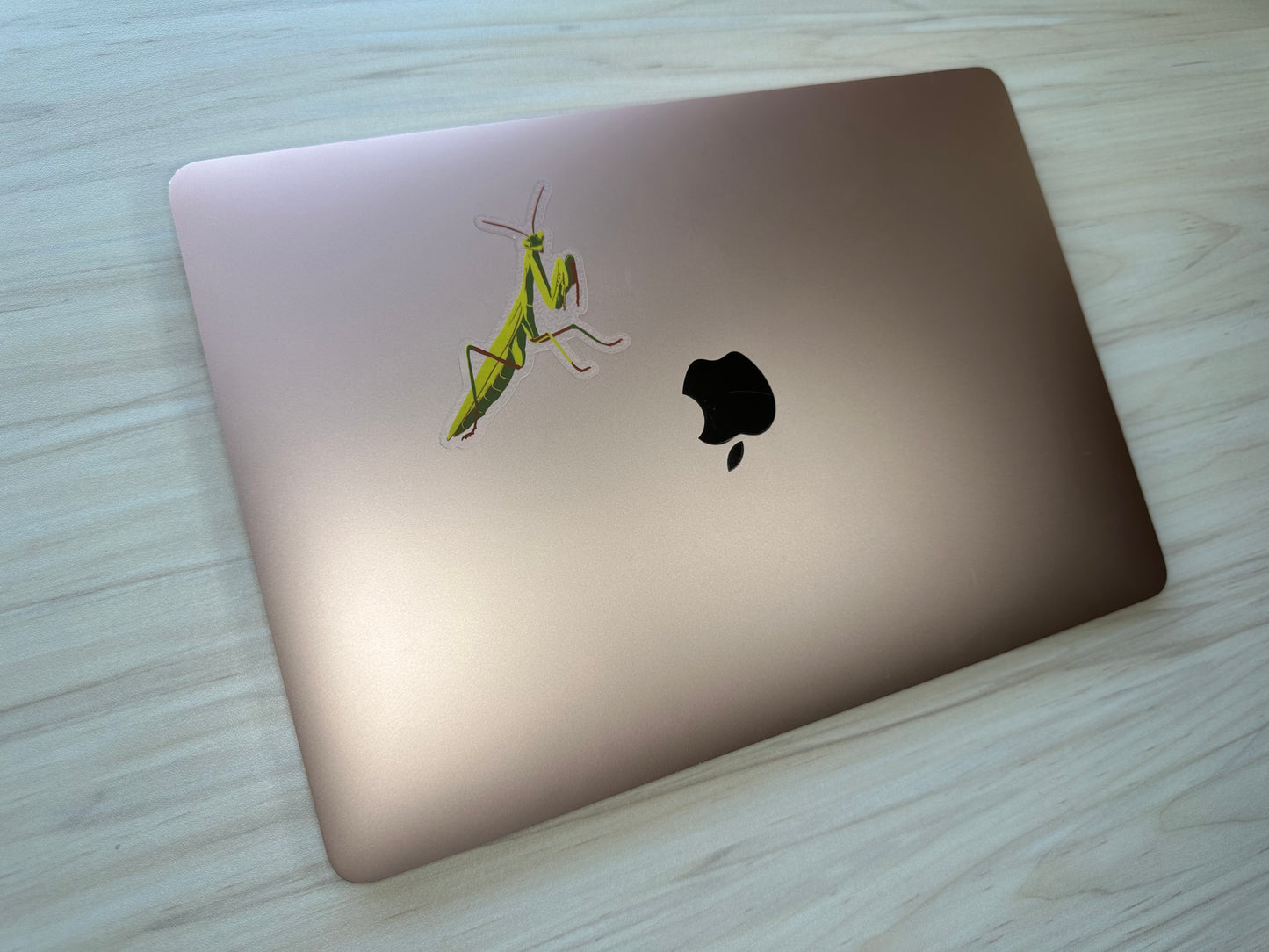 Praying Mantis Vinyl Sticker, Yellow and Green Insect, Entomology Vinyl Decal