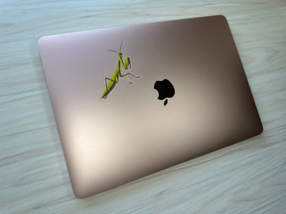 Praying Mantis Vinyl Sticker, Yellow and Green Insect, Entomology Vinyl Decal