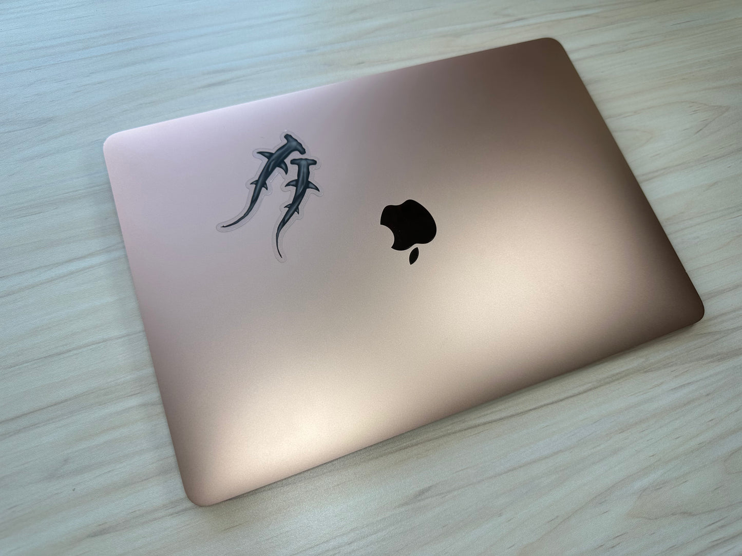 Hammerhead Shark Vinyl Sticker, Ocean Predator Decal, Marine Biology Sticker, Transparent Sticker