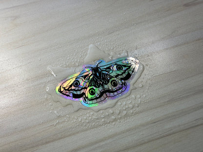 Holographic Moth Sticker, Rainbow Color Effect, Butterfly Sticker, Laptop Sticker, Waterbottle Sticker, Holographic Insect Sticker