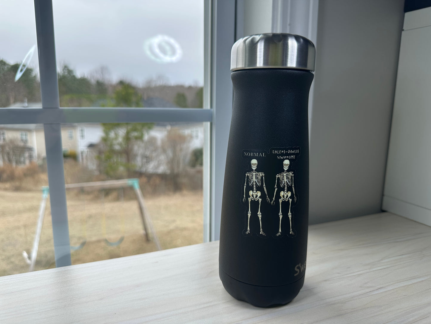 Ehlers-Danlos Syndrome Sticker, EDS Vinyl Sticker, Skeleton Comparison
