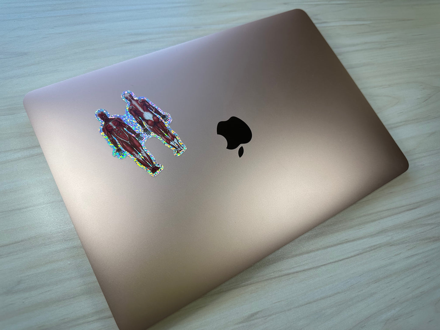 Anatomical Muscle Diagram Sticker, Anatomy Glitter Sticker, Muscular System Sticker, Anatomical Diagram Sticker, Muscular System Diagram