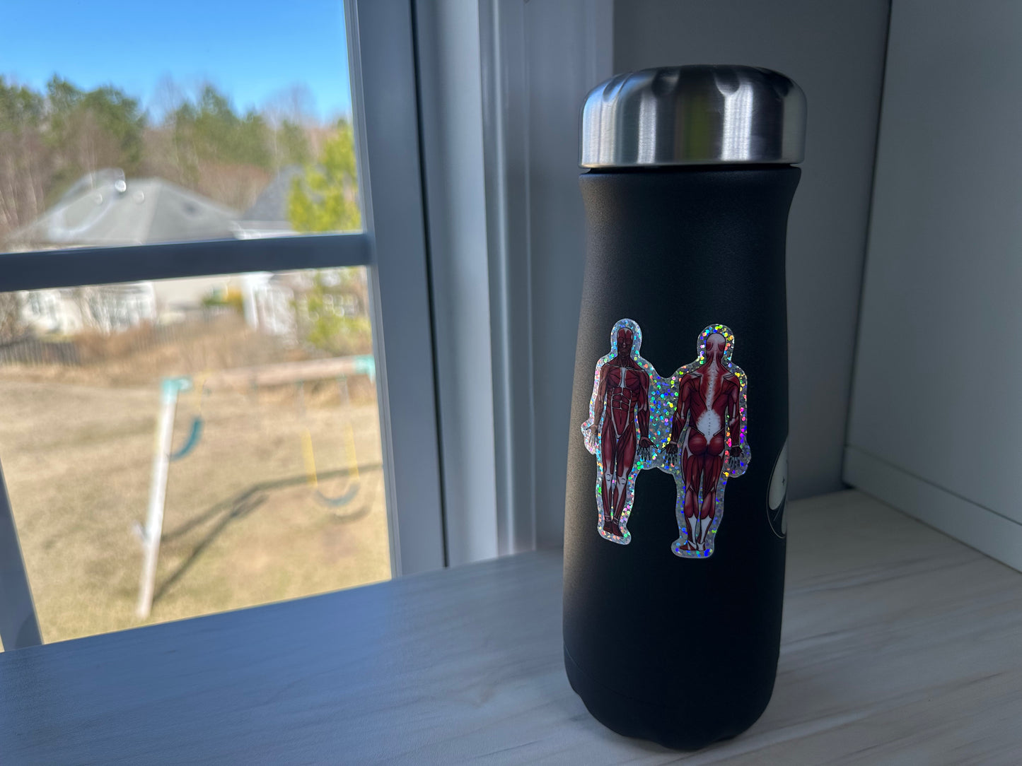 Anatomical Muscle Diagram Sticker, Anatomy Glitter Sticker, Muscular System Sticker, Anatomical Diagram Sticker, Muscular System Diagram