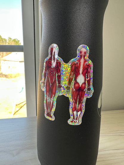 Anatomical Muscle Diagram Sticker, Anatomy Glitter Sticker, Muscular System Sticker, Anatomical Diagram Sticker, Muscular System Diagram