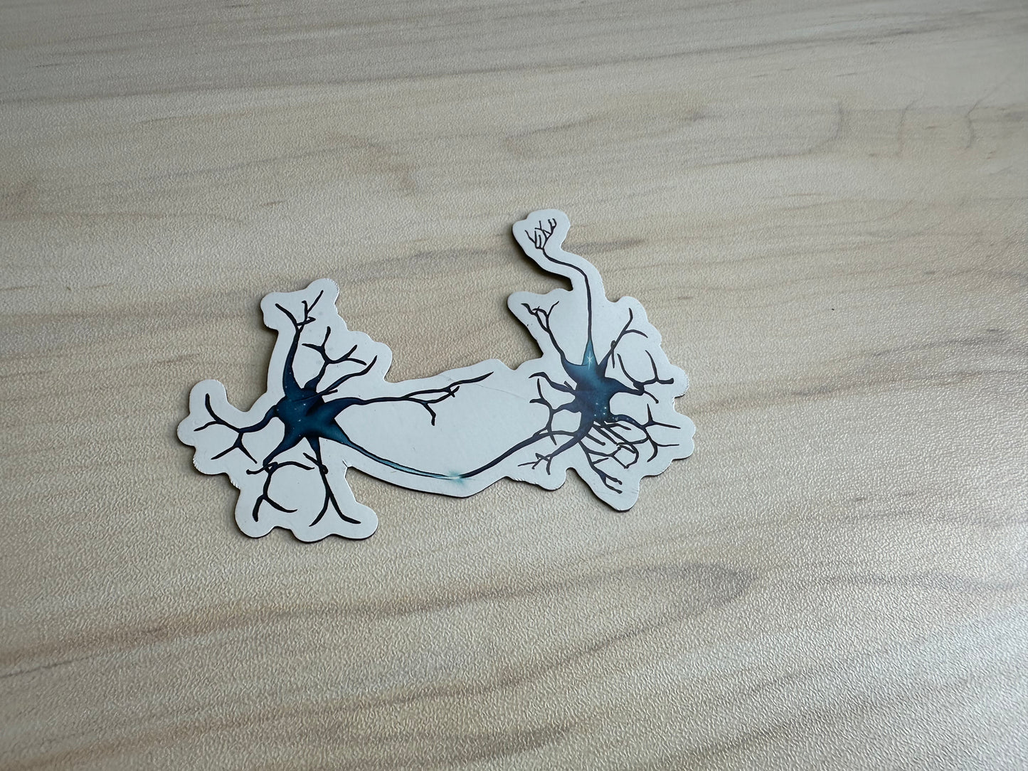 Neuron Magnet, Synapse Fridge Magnet, Neuroscience Car Magnet
