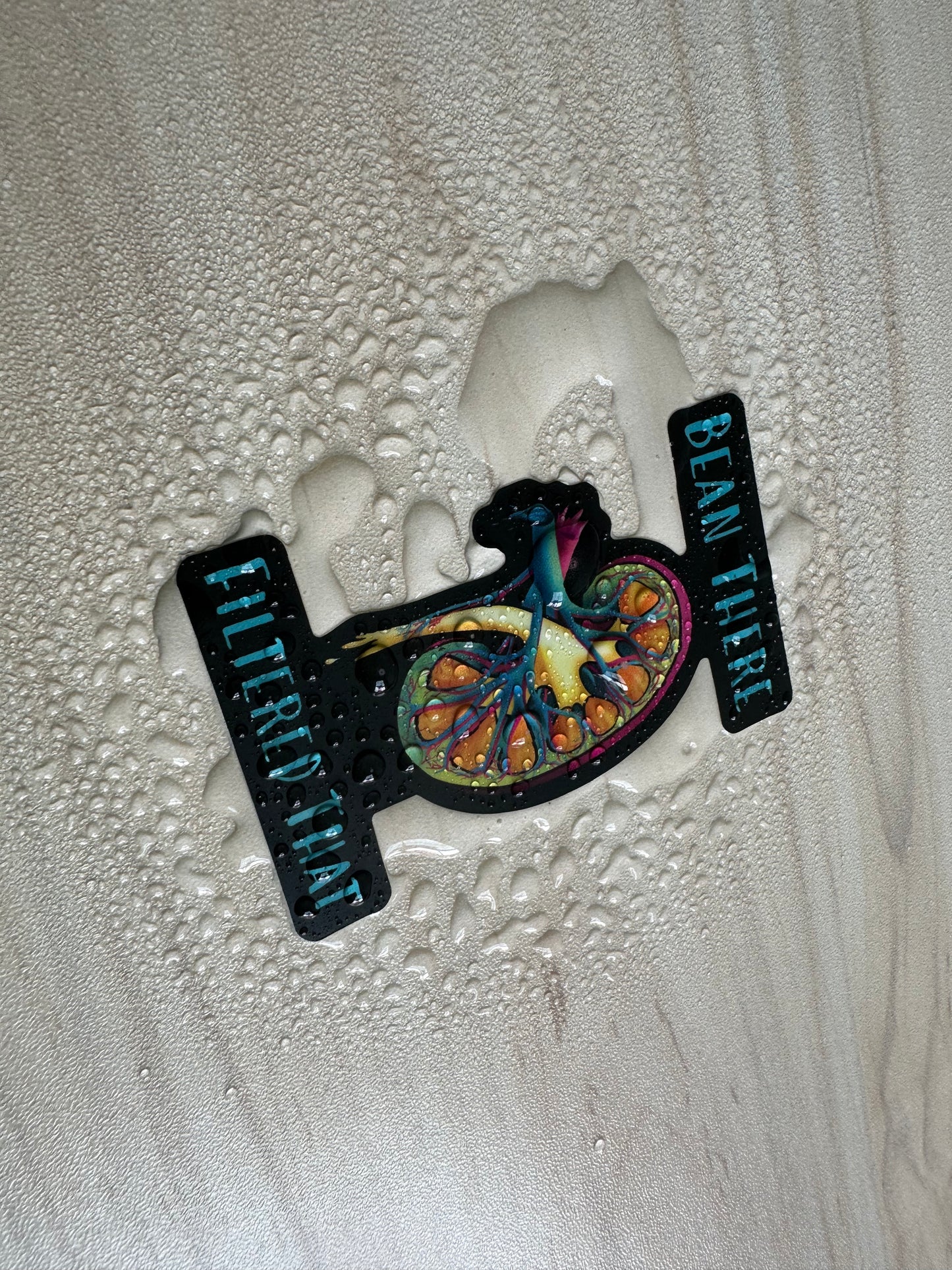 Funny Kidney Sticker, Nephrology Joke, Kidney Transplant Sticker, Vinyl Decal