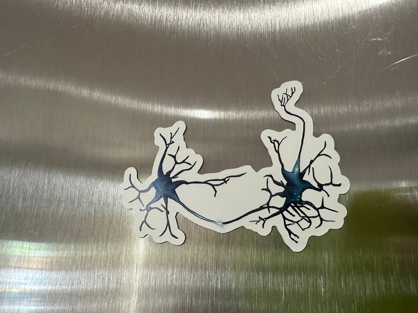 Neuron Magnet, Synapse Fridge Magnet, Neuroscience Car Magnet