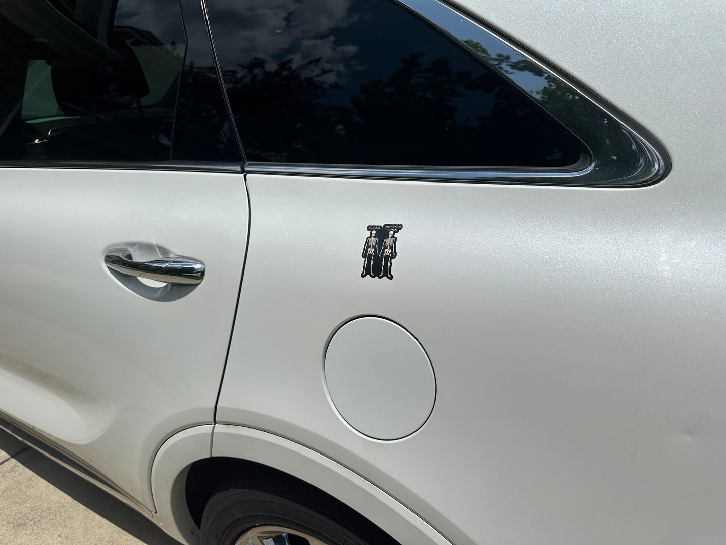 Ehlers-Danlos Syndrome Magnet, EDS Gift, Ehlers Danlos Fridge Magnet