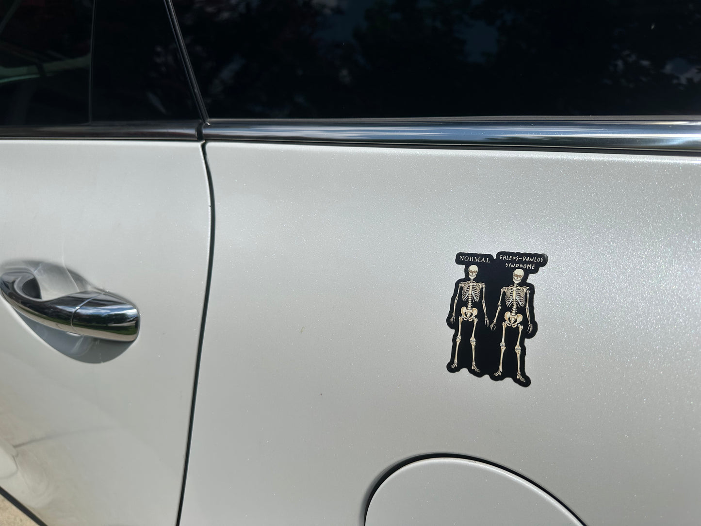 Ehlers-Danlos Syndrome Magnet, EDS Gift, Ehlers Danlos Fridge Magnet