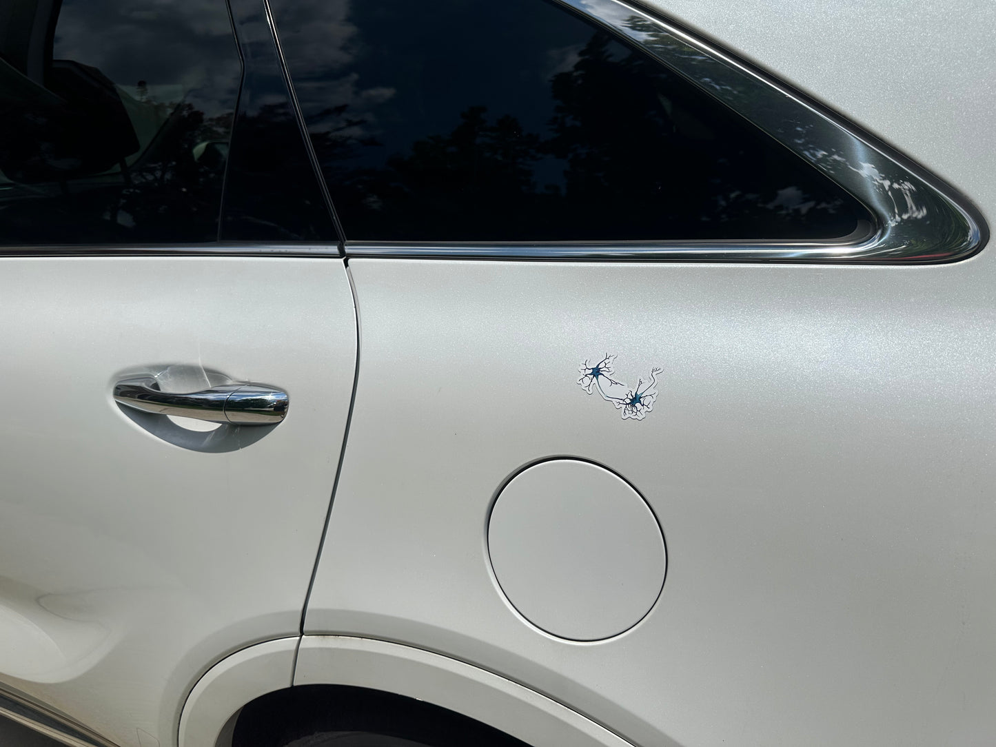 Neuron Magnet, Synapse Fridge Magnet, Neuroscience Car Magnet