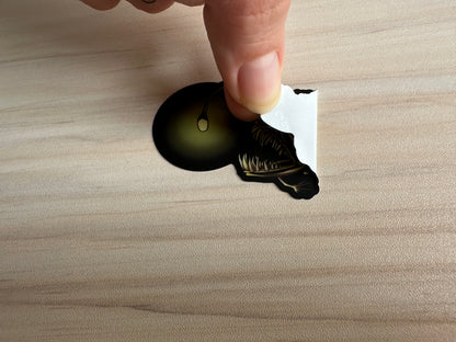 Angler Fish Skeleton Sticker, Ocean Predator Vinyl Decal, Fish Sticker