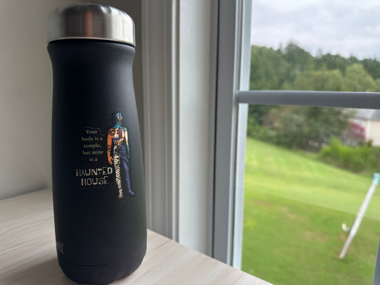 Funny Chronic Illness Sticker, My Body is a Haunted House, Chronic Pain, Invisible Disability