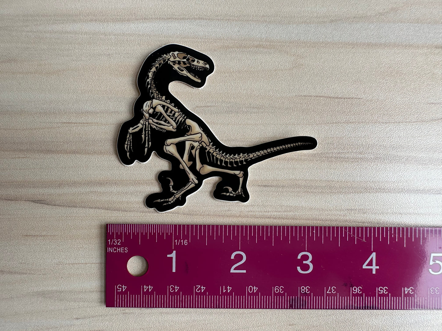 Dinosaur Velociraptor Skeleton Sticker, Black and Bone White, Dinosaur Fossil Vinyl Decal