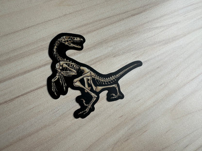 Dinosaur Velociraptor Skeleton Sticker, Black and Bone White, Dinosaur Fossil Vinyl Decal