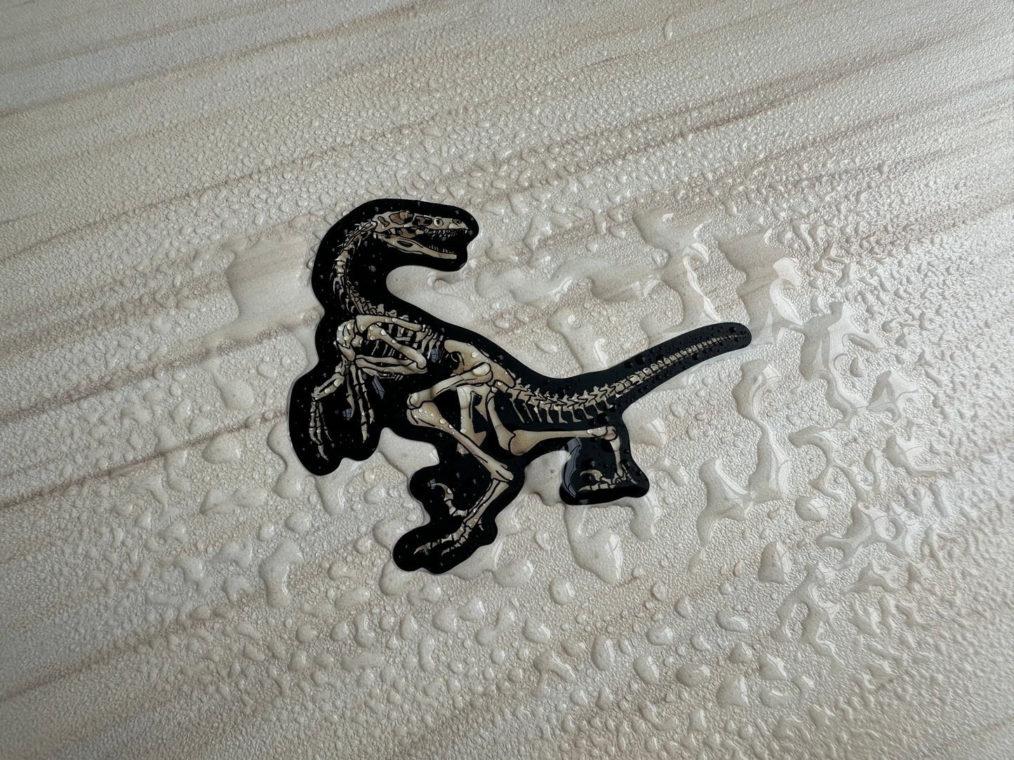 Dinosaur Velociraptor Skeleton Sticker, Black and Bone White, Dinosaur Fossil Vinyl Decal