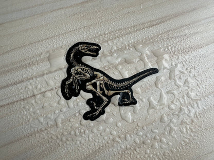 Dinosaur Velociraptor Skeleton Sticker, Black and Bone White, Dinosaur Fossil Vinyl Decal