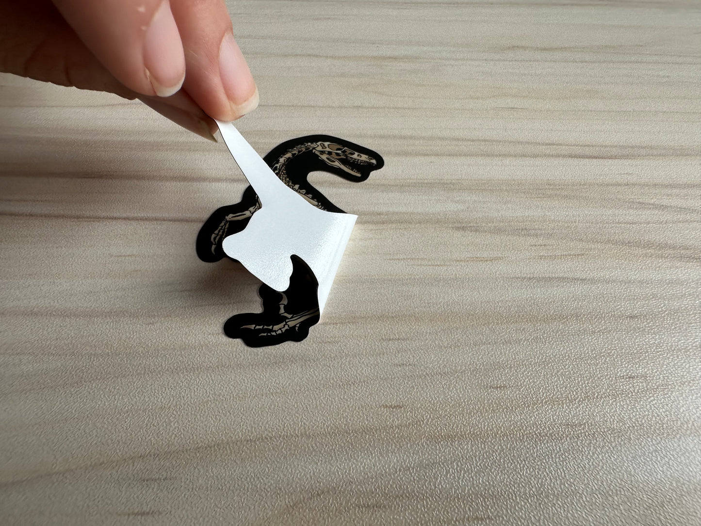 Dinosaur Velociraptor Skeleton Sticker, Black and Bone White, Dinosaur Fossil Vinyl Decal