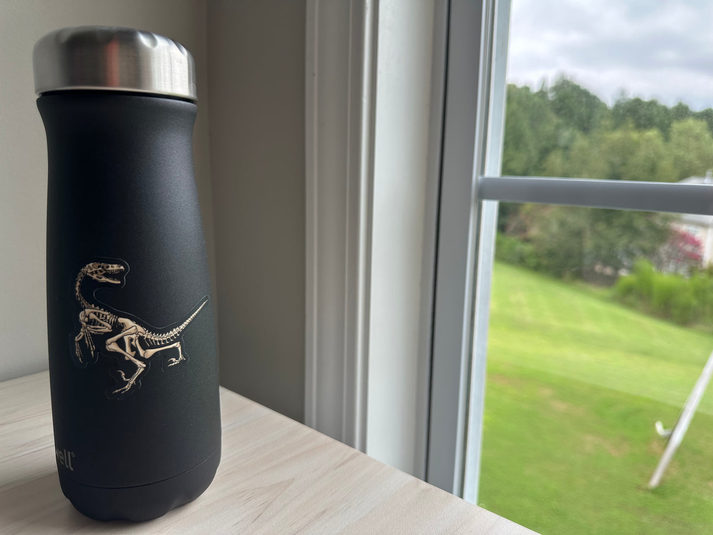 Dinosaur Velociraptor Skeleton Sticker, Black and Bone White, Dinosaur Fossil Vinyl Decal