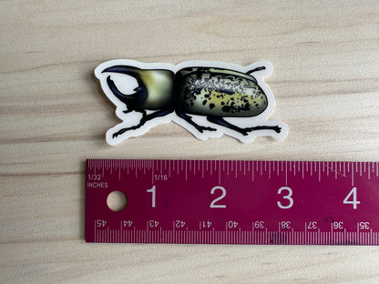 Hercules Beetle Sticker, Insect Clear Vinyl Decal, Entomology Sticker, Bug Enthusiast Gift