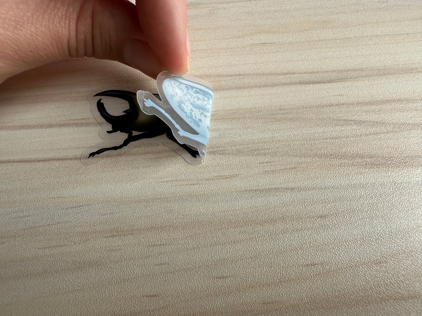  Hercules Beetle Sticker, Insect Clear Vinyl Decal, Entomology Sticker, Bug Enthusiast Gift
